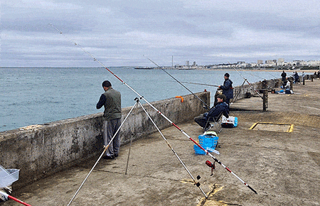 Fishing in Brighton – Complete Guide for 2023